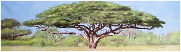 The Hope Of Africa