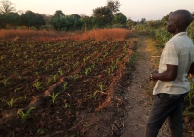 Nano Village – Crop planting