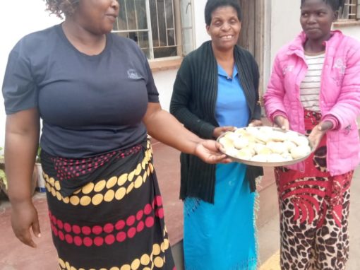 Chilimba Village – Biscuits